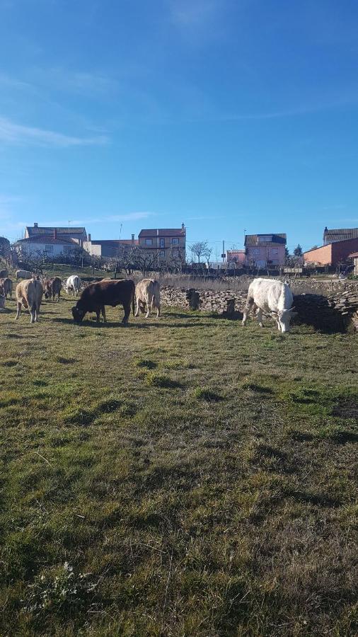 Albergue Agustina Samir de los Canos Kültér fotó